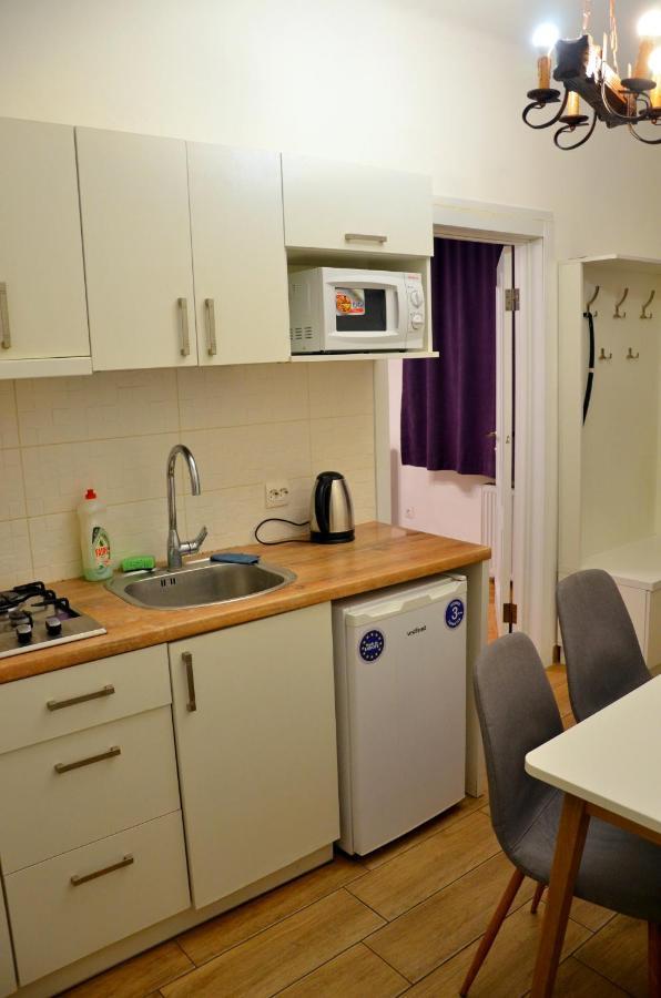 Brand New Apartment In City Center Lviv Exterior photo